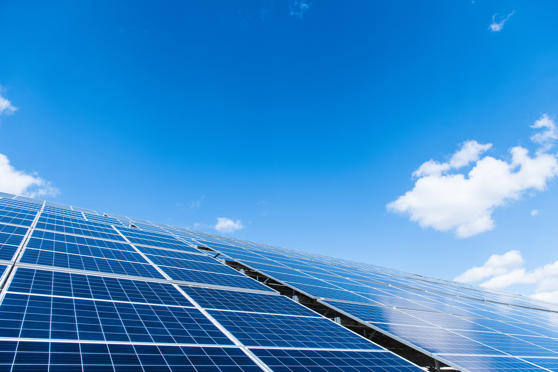 今月より新潟支店がオープンしました！